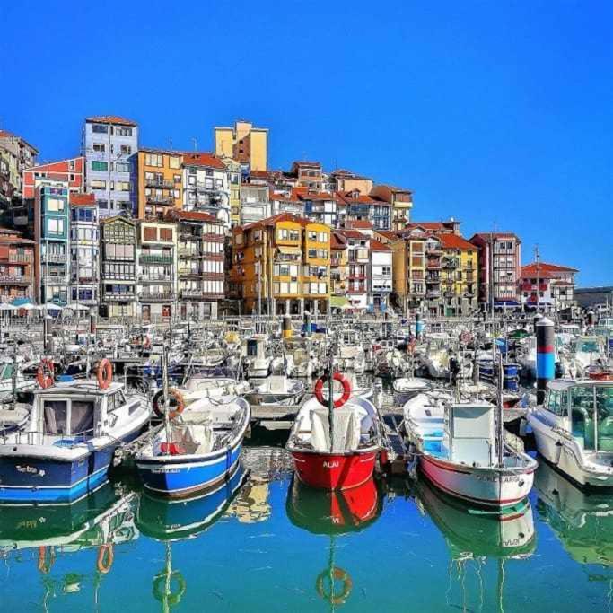 베르메오 Arostegi Etxea Bonito Piso Junto Al Puerto 아파트 외부 사진